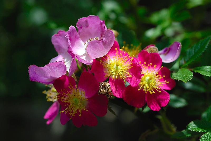 image0249