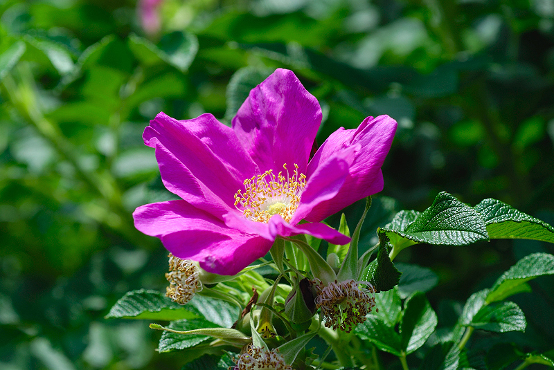 image0252