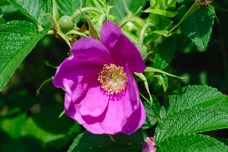 image0254