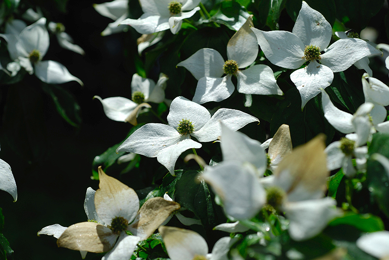 image0255