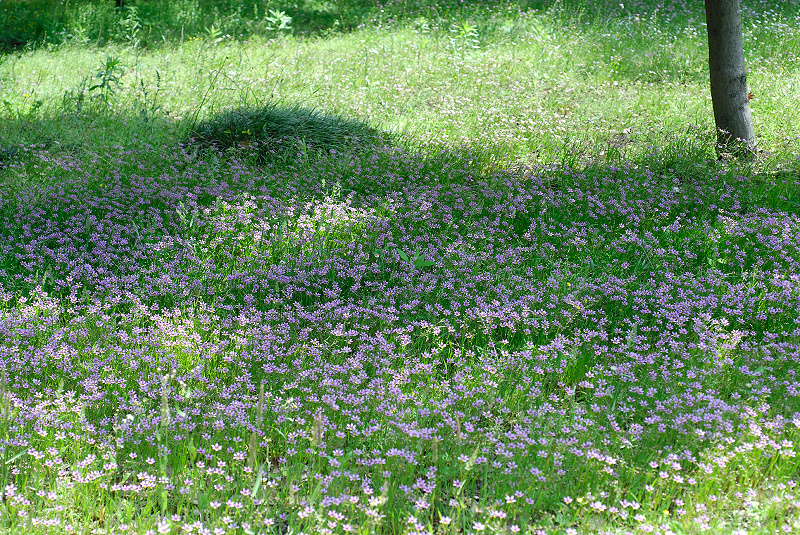 image0256