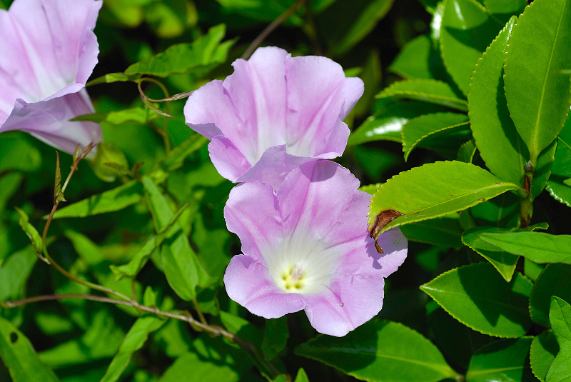 image0257