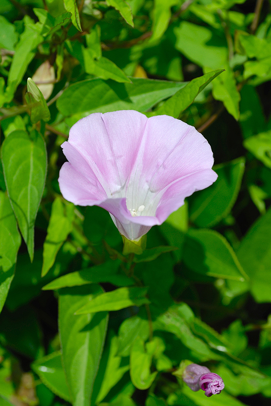 image0258