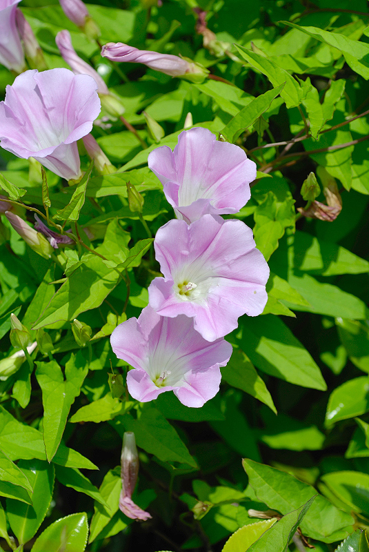 image0259