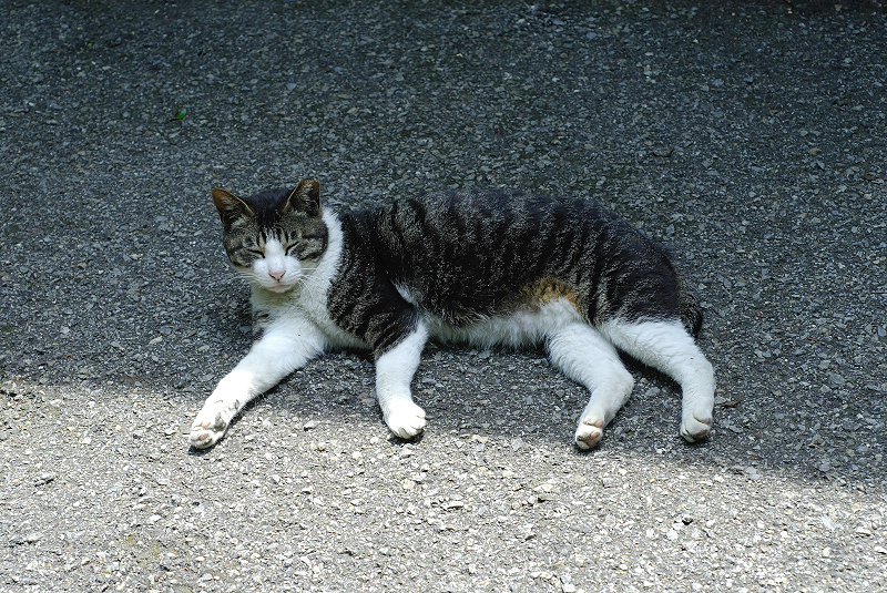 image0260