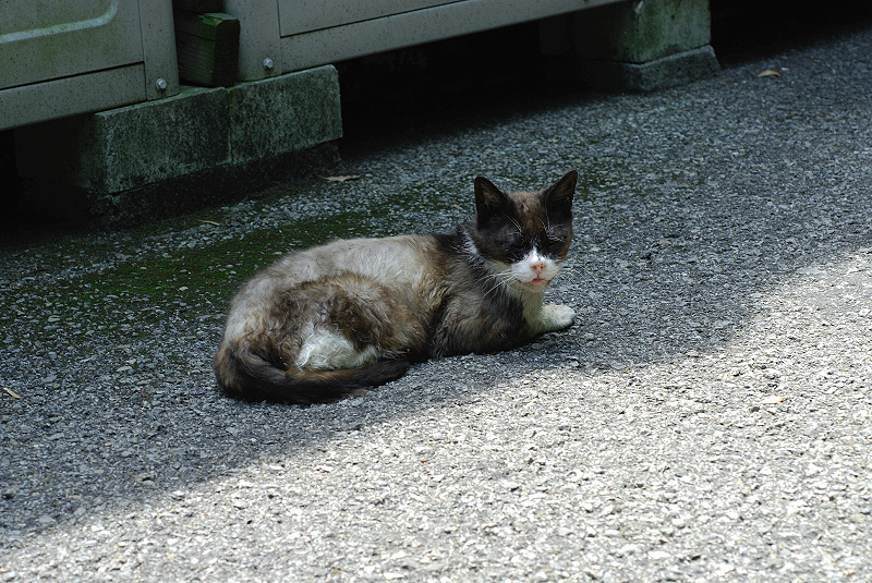 image0261