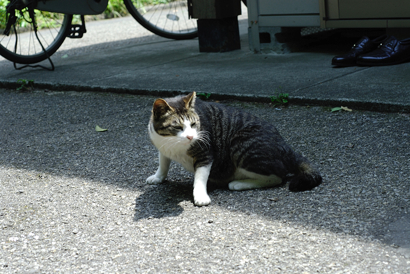 image0262