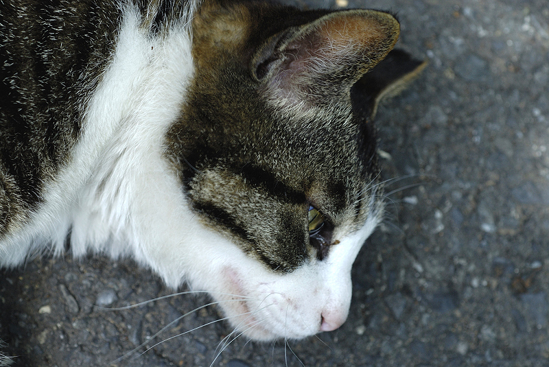 image0266
