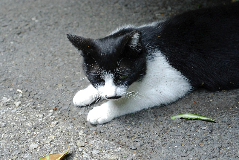 image0268