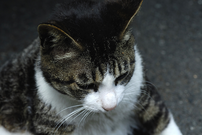 image0269