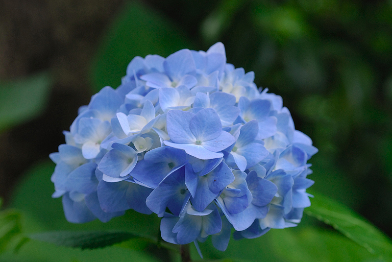 image0272