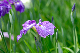 image0112