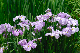 image0129