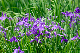 image0130