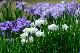 image0132