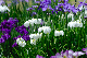 image0134