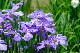 image0138
