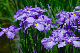 image0139