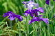 image0140