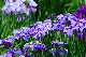 image0141