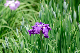 image0142
