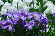 image0143