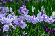 image0144