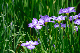image0146
