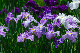 image0147