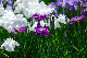 image0148