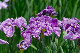 image0149