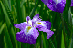 image0151
