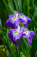 image0152