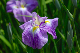 image0154