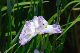 image0155