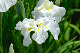 image0156