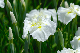 image0157