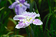 image0158