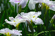 image0159
