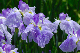 image0160