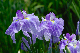 image0161