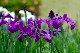 image0162