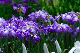 image0163