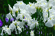 image0164