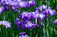image0166