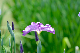 image0169