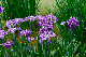 image0176