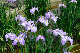 image0180
