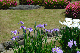 image0181