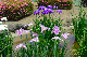 image0182
